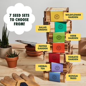 Garden Lettuce Seeds for Planting, 9 Non-GMO Heirloom Seed Packets