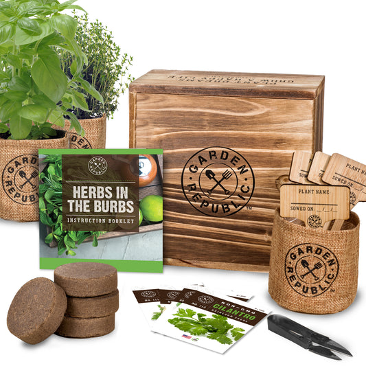 Indoor Culinary Herb Garden Starter Kit - Non-GMO, Heirloom Variety Seeds
