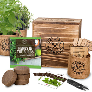 Indoor Culinary Herb Garden Starter Kit - Non-GMO, Heirloom Variety Seeds
